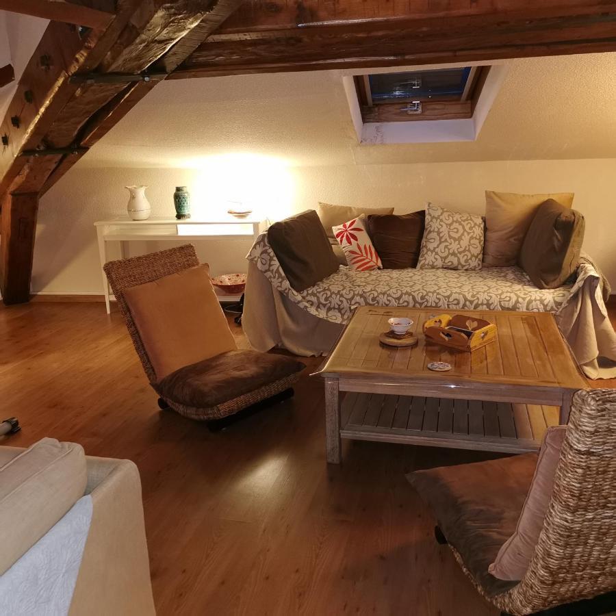 Cosy And Calm In Grenoble City Heart With Free And Large Parking Q-Park Chavant Екстер'єр фото